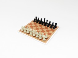 TT- Schach im Freien